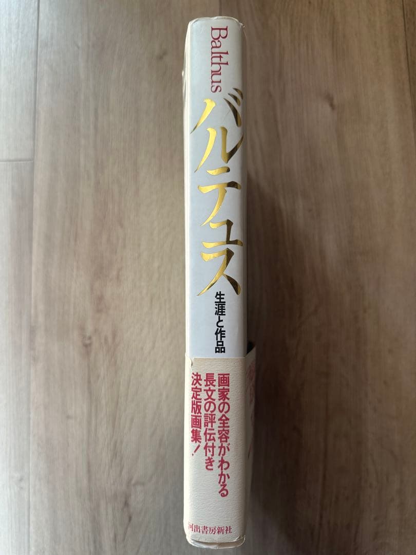 バルテュス 生涯と作品