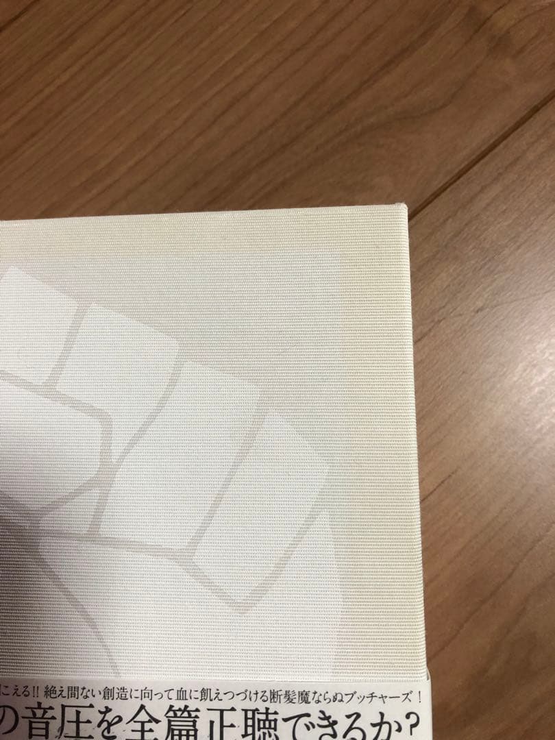 p*ユ様 bloodthirsty butchers CDセット