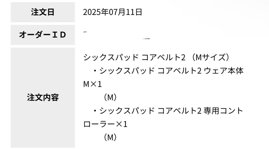 Core Belt 2 コアベルト2 Mサイズ　2025/7月購入