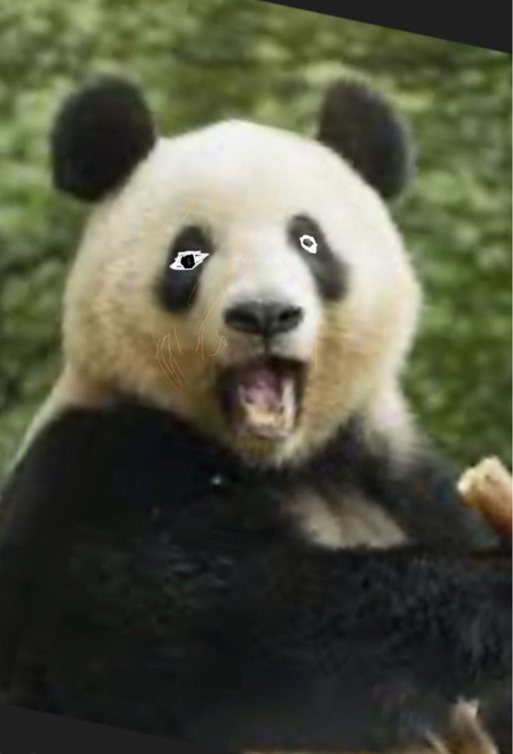 王たる気風　ジャンプ　2024年45号