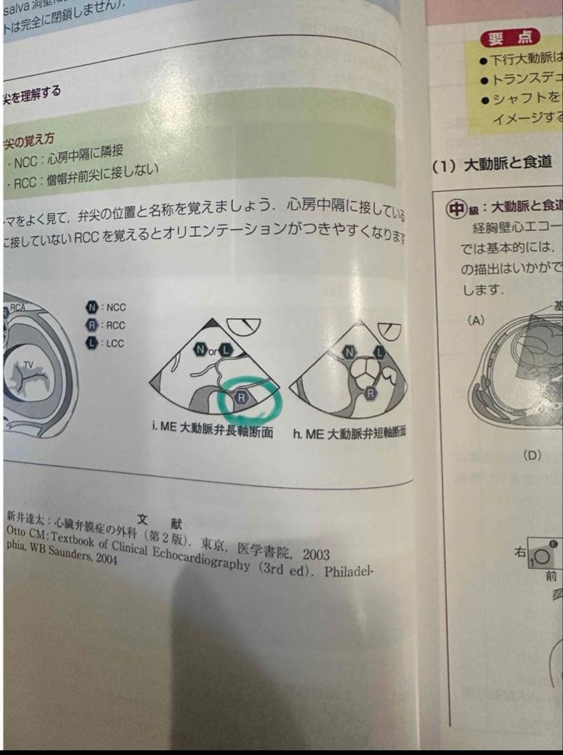初心者から研修医のための経食道心エコー Ⅱ 2 （裁断済み）