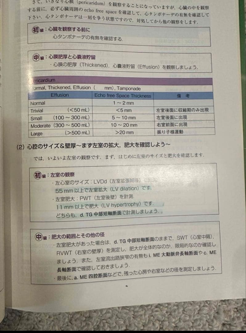 初心者から研修医のための経食道心エコー Ⅱ 2 （裁断済み）