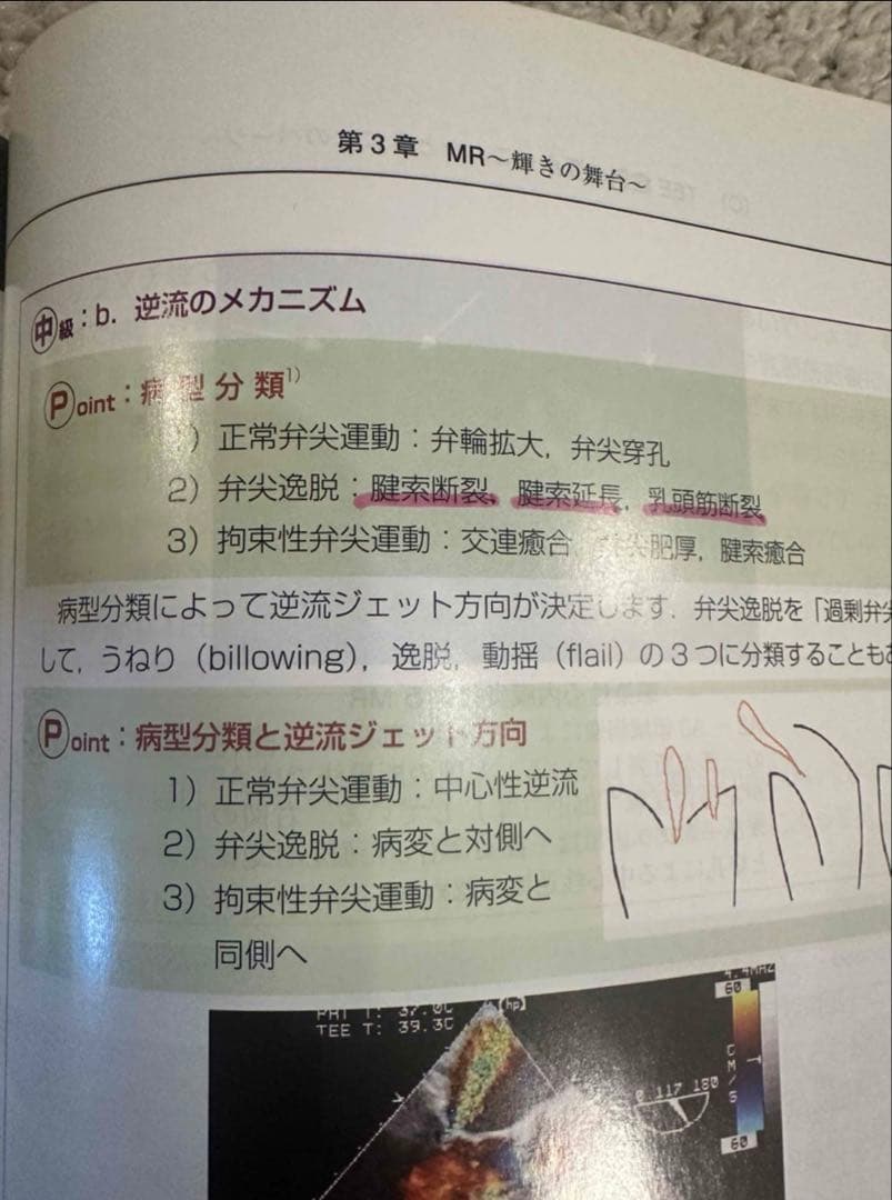 初心者から研修医のための経食道心エコー Ⅱ 2 （裁断済み）