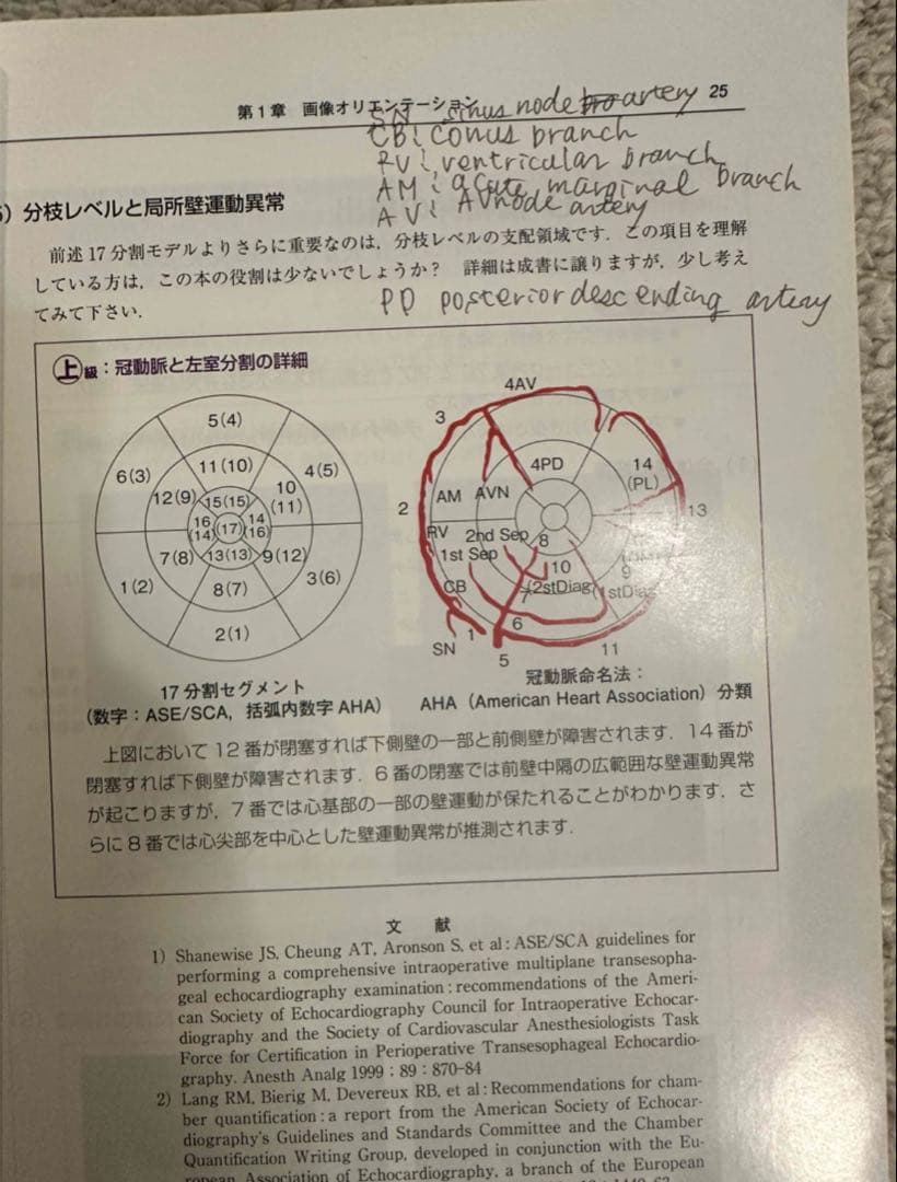 初心者から研修医のための経食道心エコー Ⅱ 2 （裁断済み）