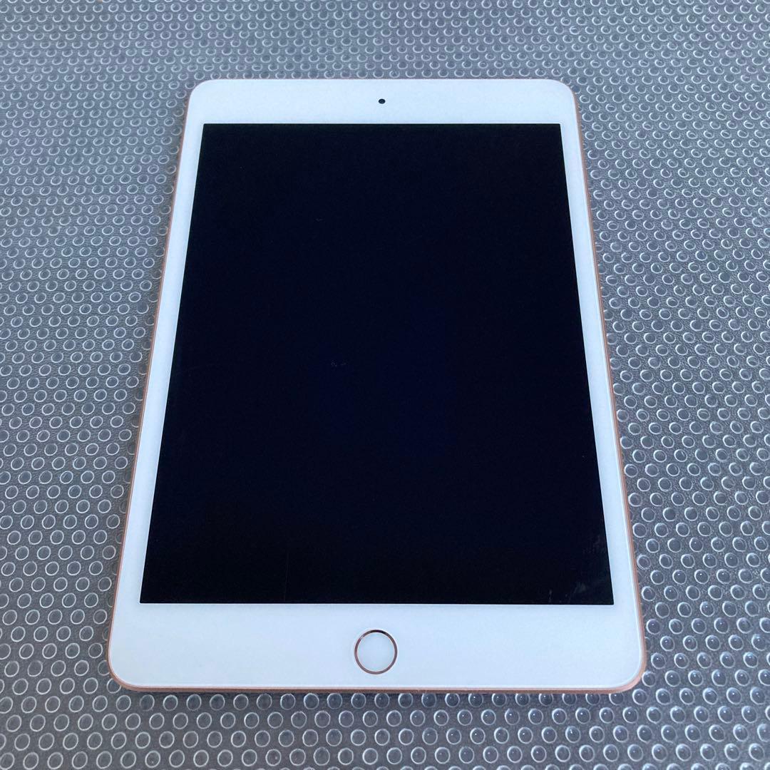 745【早い者勝ち】電池最良好☆iPad mini5 256GB WIFIモデル