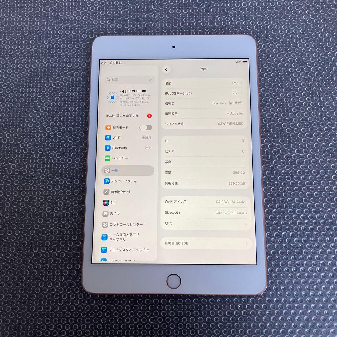 745【早い者勝ち】電池最良好☆iPad mini5 256GB WIFIモデル