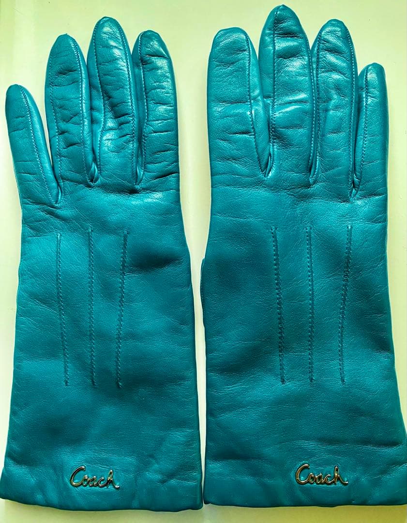 COACH コーチ　レザー(羊革)手袋 カシミヤ　ライニング　サイズ7