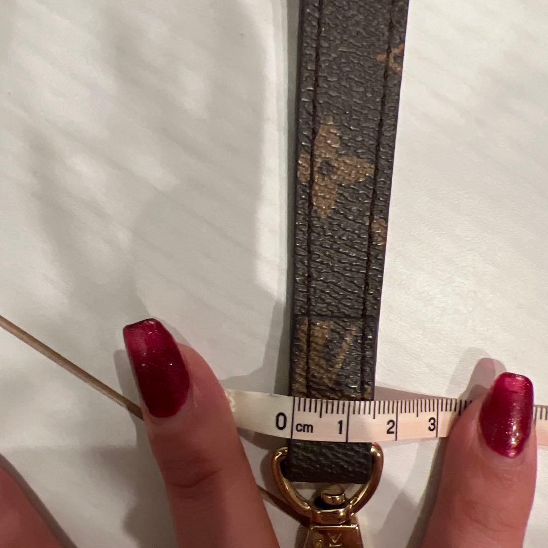 Louis Vuitton バッグストラップ モノグラム