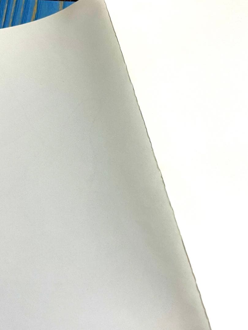 HUNTER×HUNTER 特典 ミニポスター 4枚 レオリオ ヒソカ