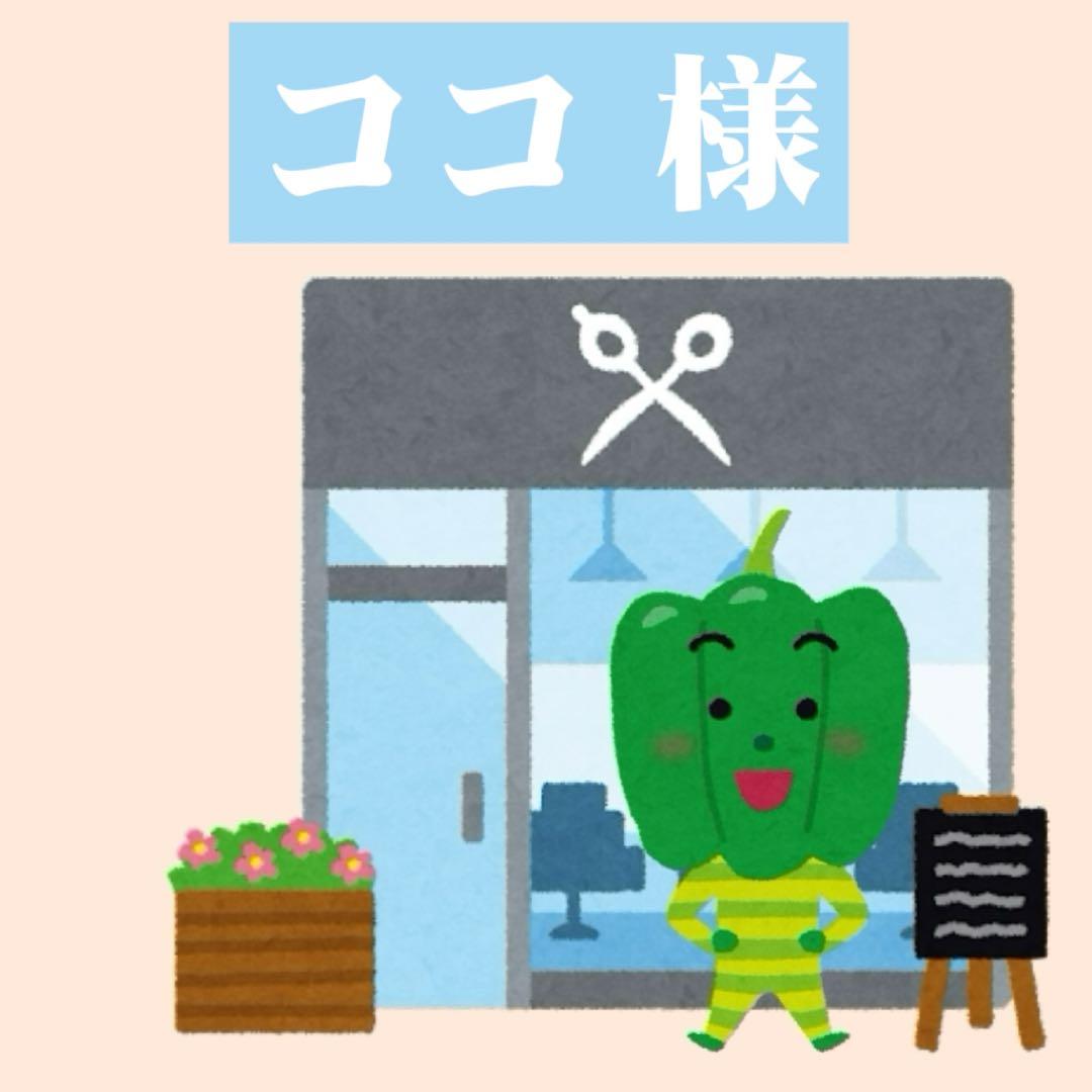 ココ様 ウィッグオーダー専用ページ