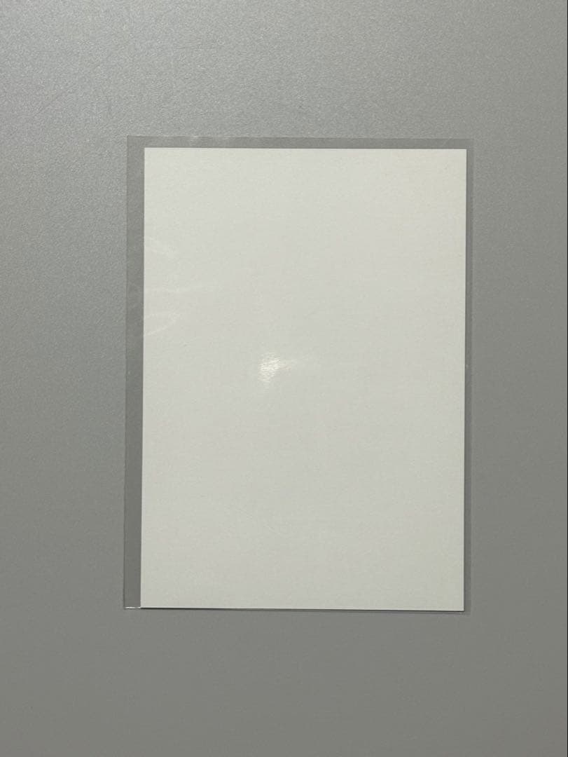 【1329】SEVENTEEN EXHIBITION エキシビション ウォヌ