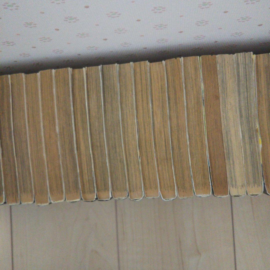 カメレオン 全巻セット 加瀬あつし