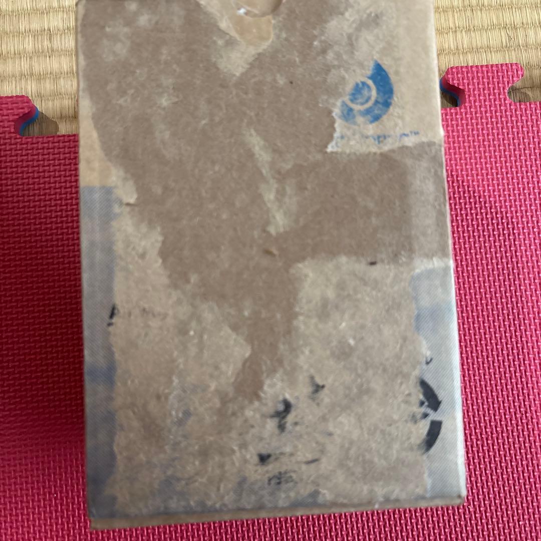 【特別】BathSpring バスルーム浄水器 交換用フィルター