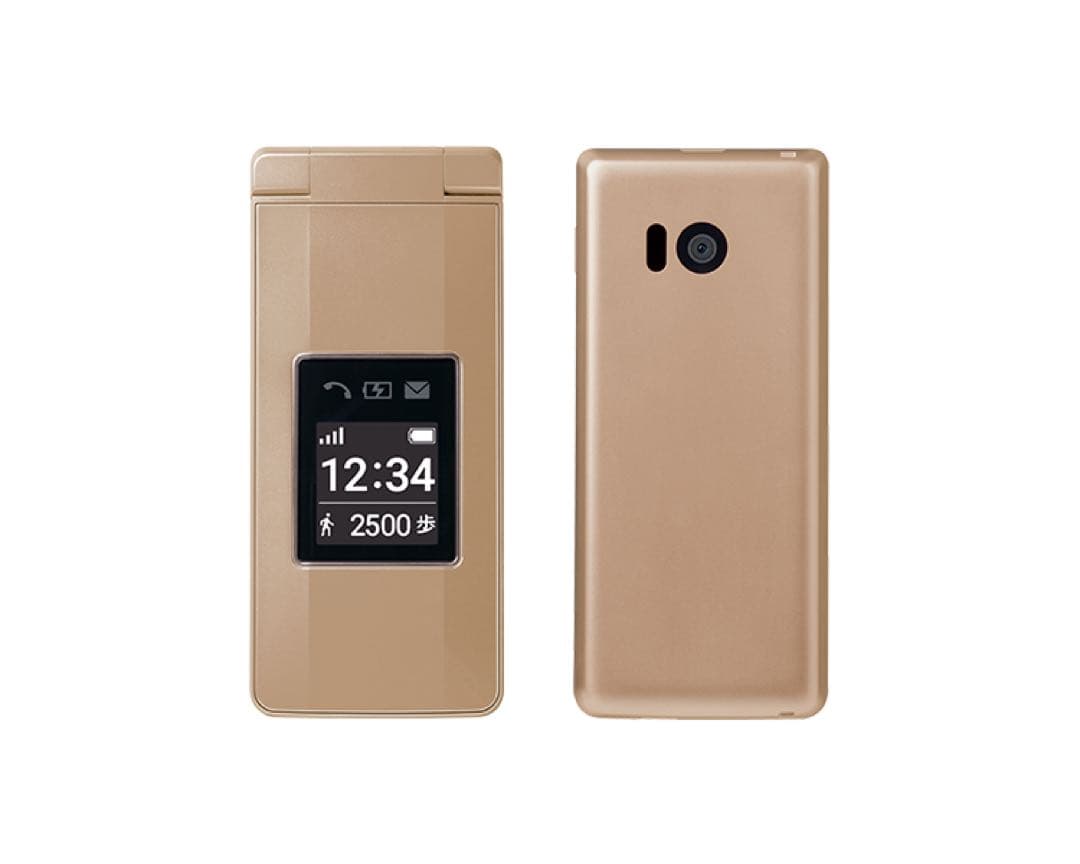 【美品】ソフトバンク かんたん携帯10 807SH