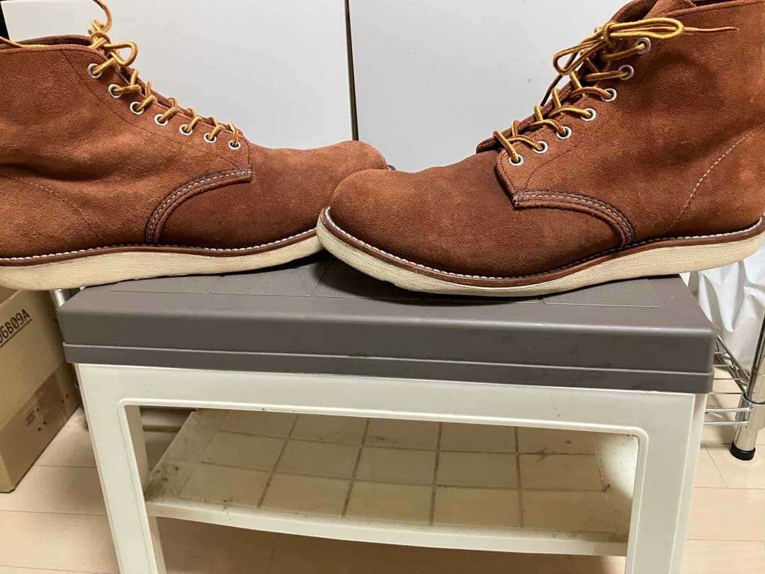 カイコウ　レッドウィング　8813 11D