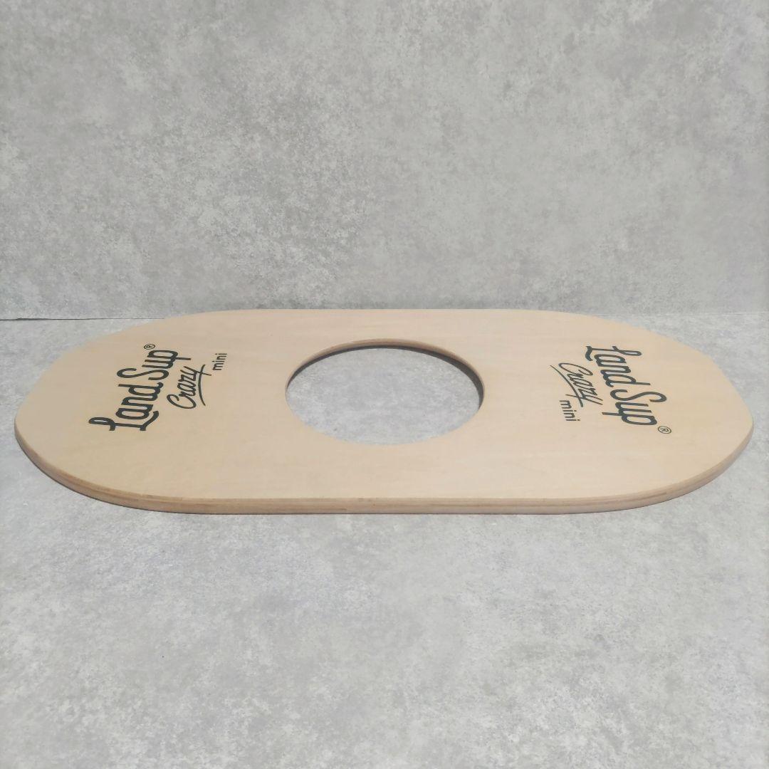 LandSup Crazy mini サーフィン　バランス　ボード　美品