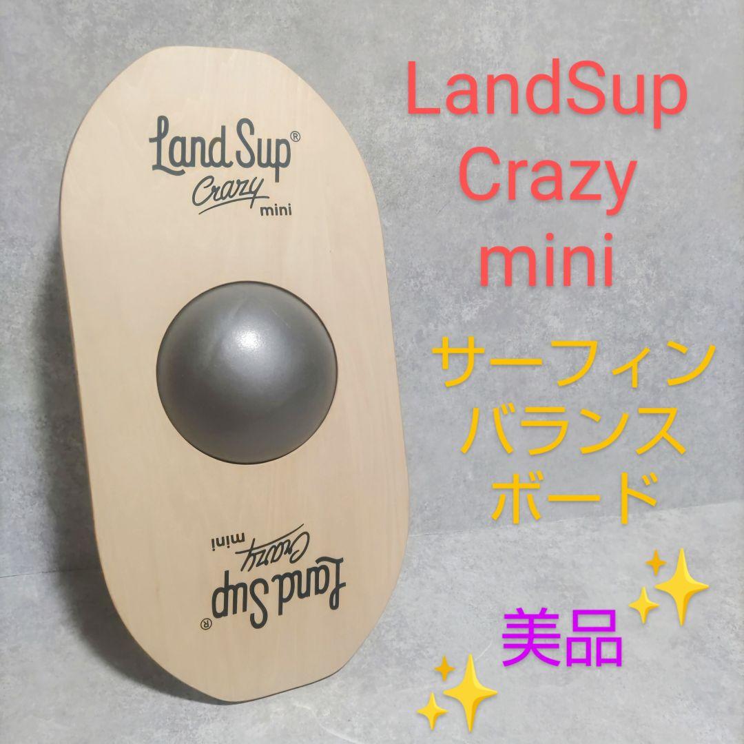 LandSup Crazy mini サーフィン　バランス　ボード　美品