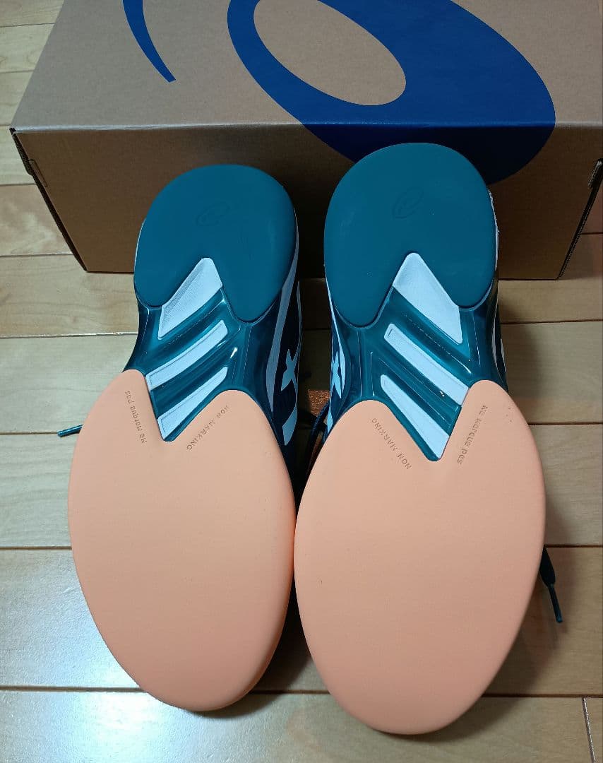 アシックステニス SOLUTION SPEED FF 2 INDOOR