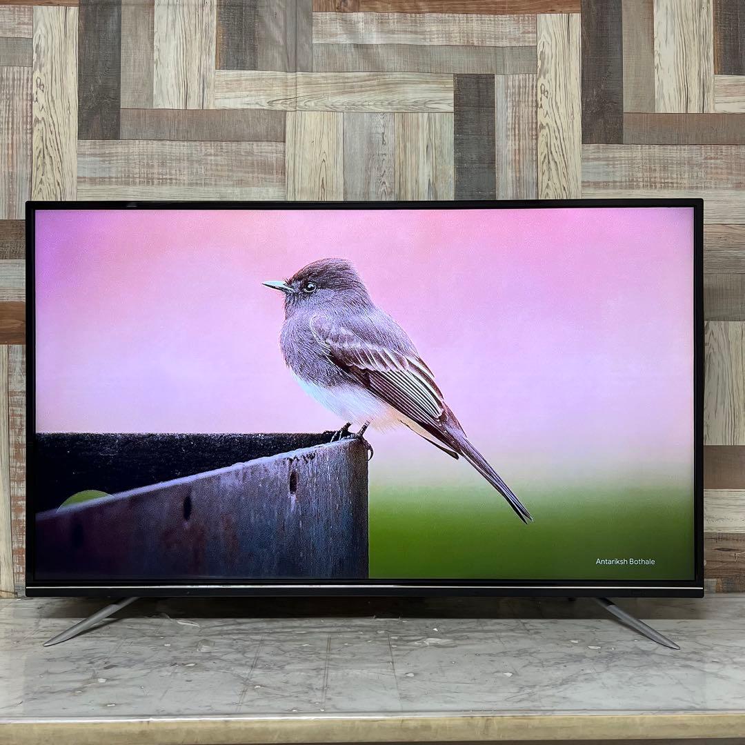 全国送料込❣️グリーンハウス49V型4K液晶テレビ東芝製最新LSI搭載