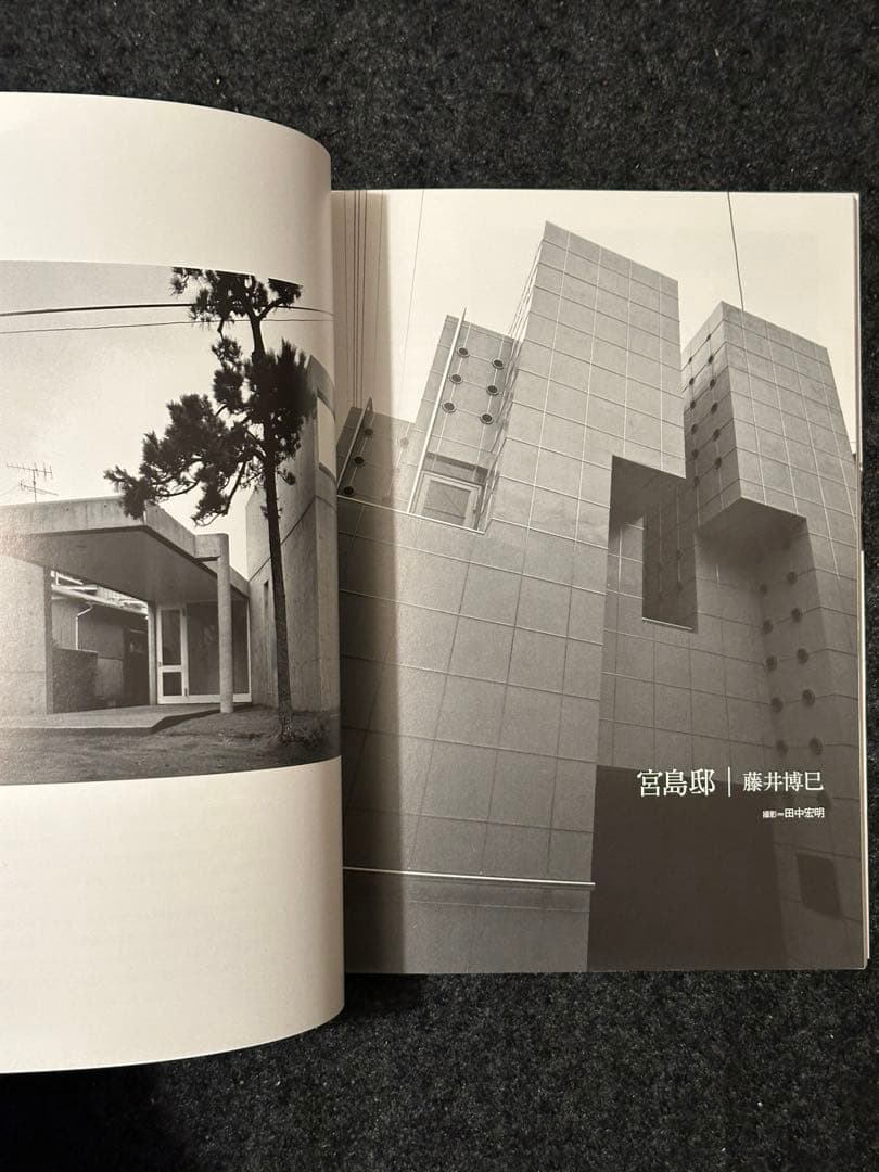 住宅70年代・狂い咲き