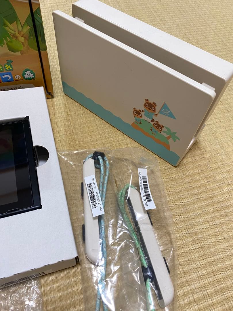 あつまれ どうぶつの森 Nintendo Switch 本体　ケースセット