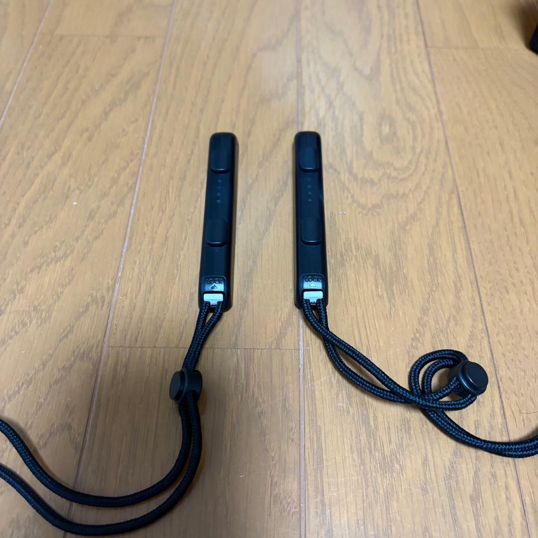 Switch本体 その他付属品