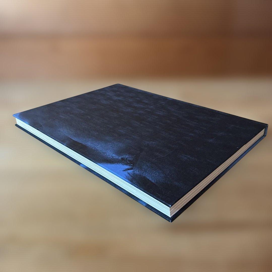 José Pedro Cortes 『One’s Own Arena』 富山