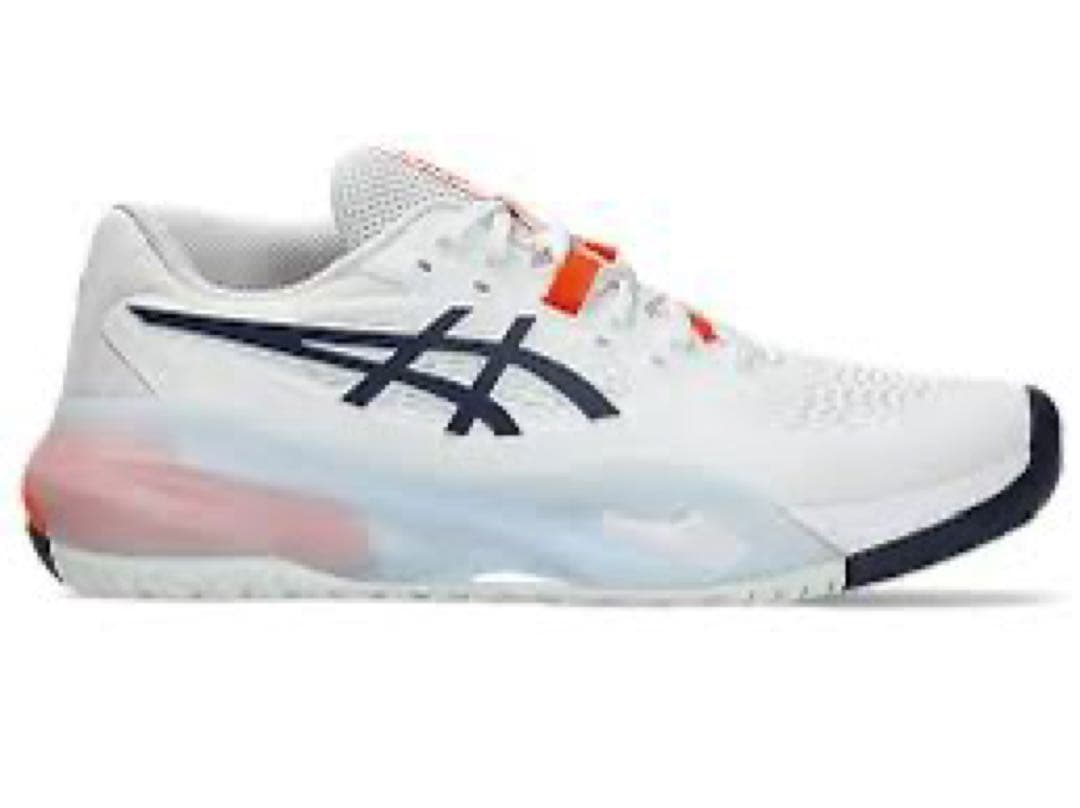 ASICS GEL-RESOLUTION X 29.0cm 新品 オールコート