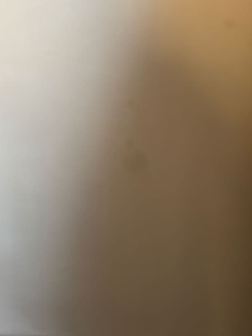 劇場版ポケットモンスター　ポケモン　水の都の護神　ポスター