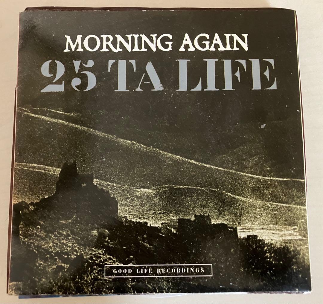 【まとめ売り】シングルレコードコレクション8枚セットハードコア パンク7inch