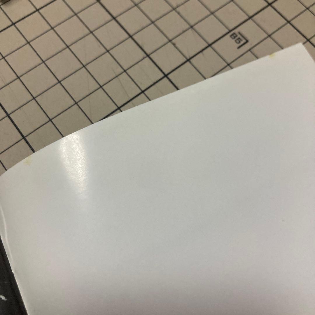 TERUO NAKAMURA RISING SUN 中村照夫　SHM-CD