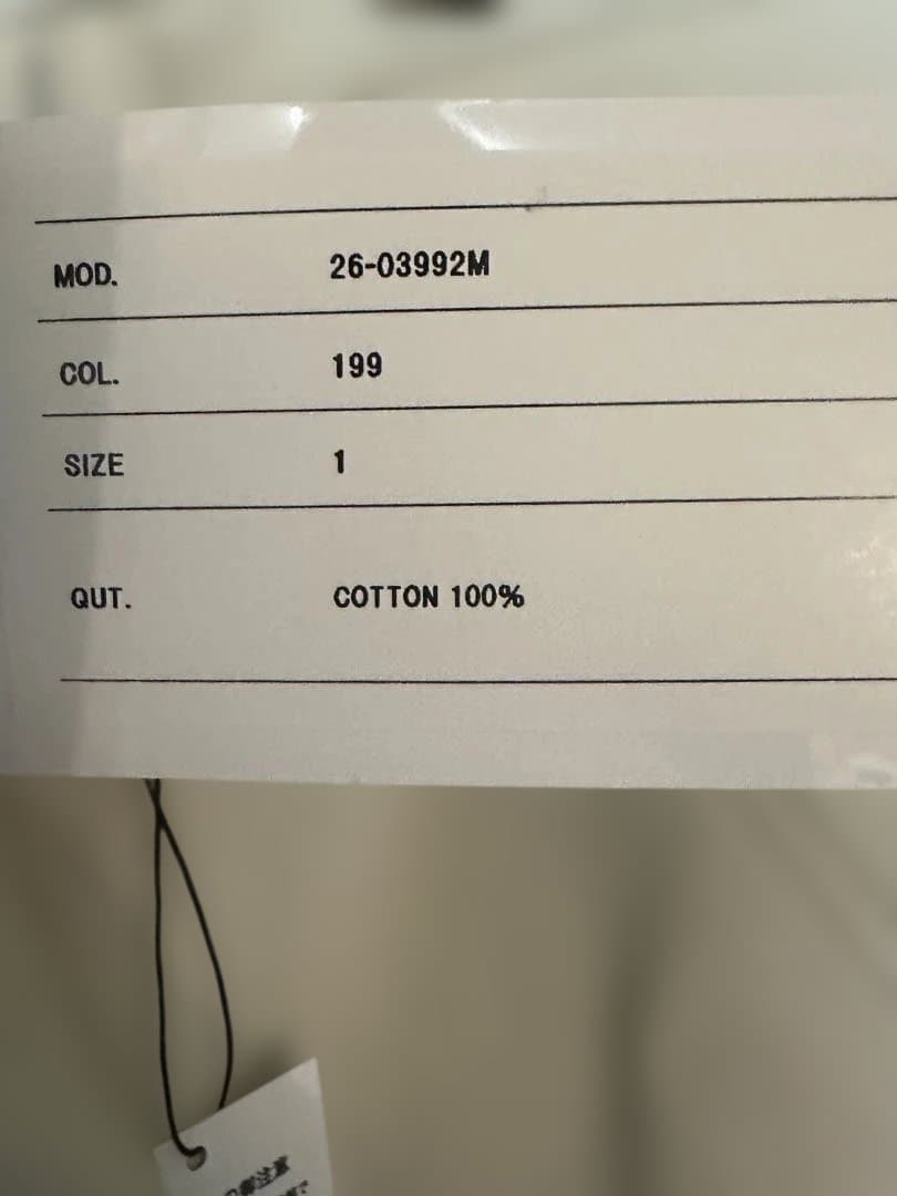 Carhartt WIP Duck Pants サイズ1