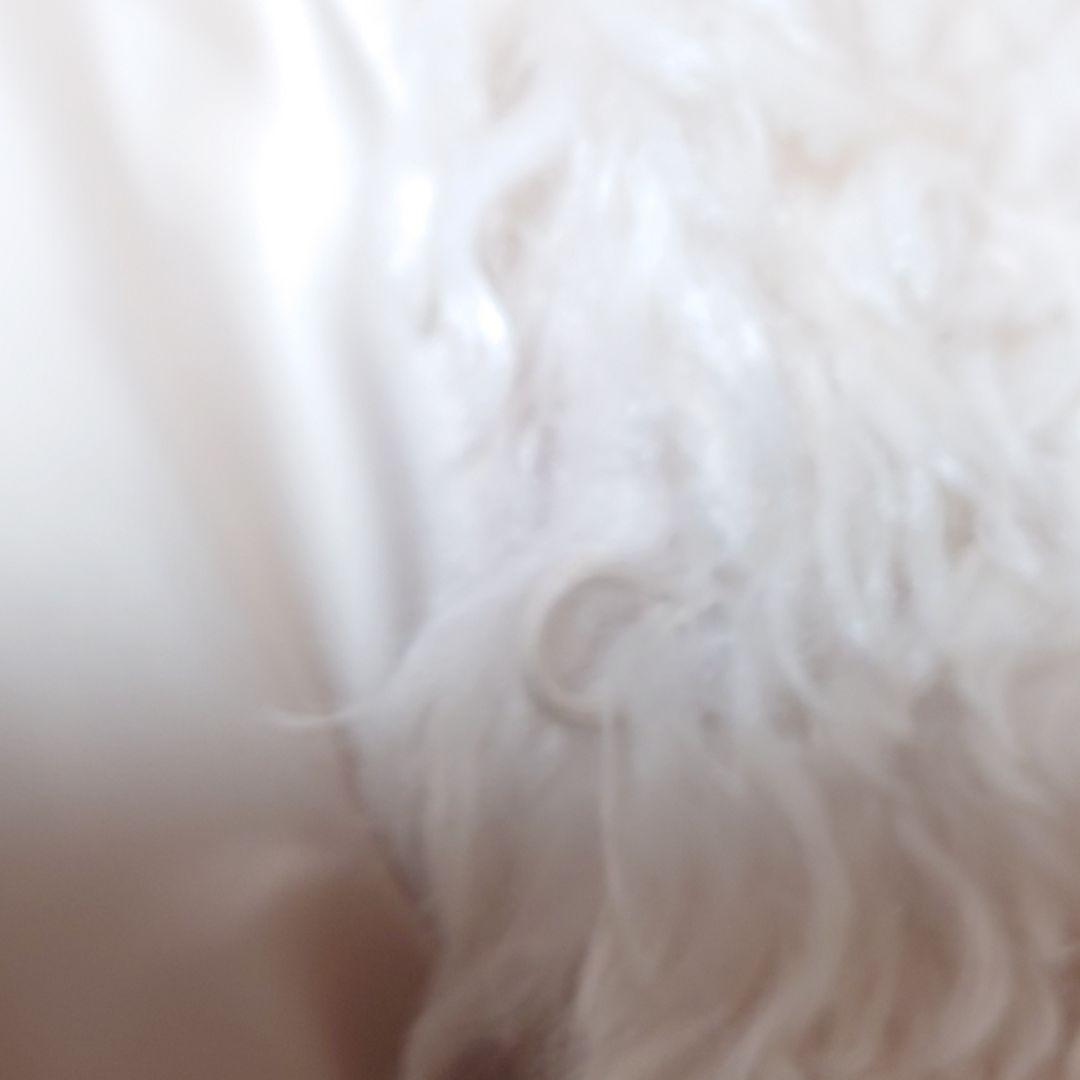 ヤマダヤ 新品 Vin ファーコート ティディベアコート アイボリー M