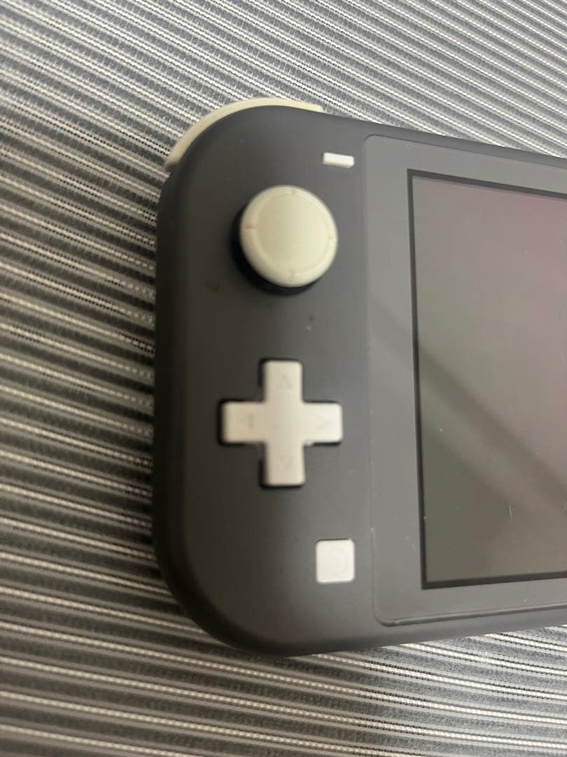 Nintendo Switch Lite 本体 64GB microSDカード