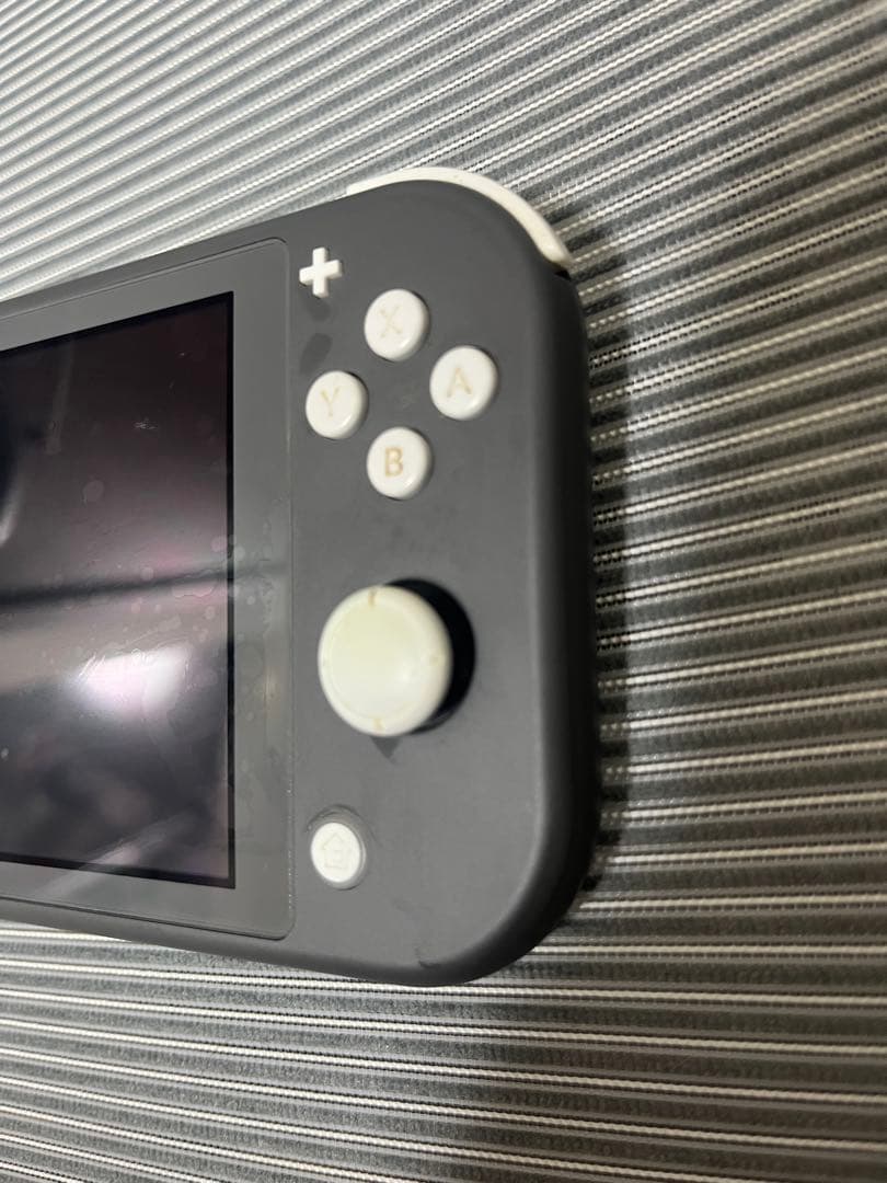 Nintendo Switch Lite 本体 64GB microSDカード