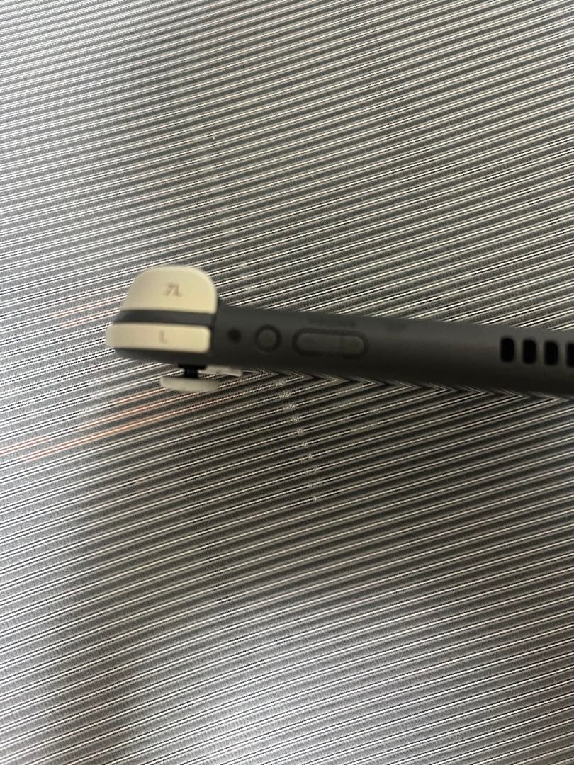 Nintendo Switch Lite 本体 64GB microSDカード