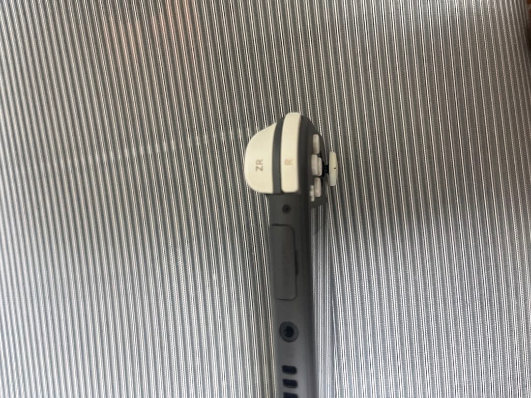 Nintendo Switch Lite 本体 64GB microSDカード