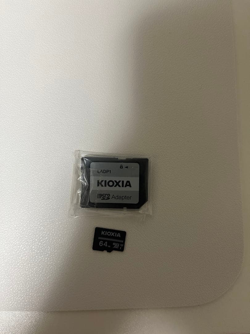 Nintendo Switch Lite 本体 64GB microSDカード