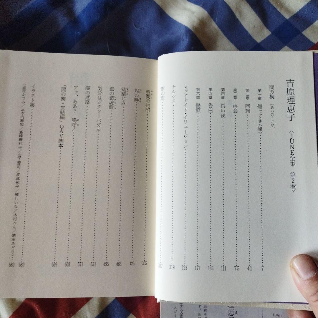 ＢＬ小説　吉原理恵子 JUNE全集