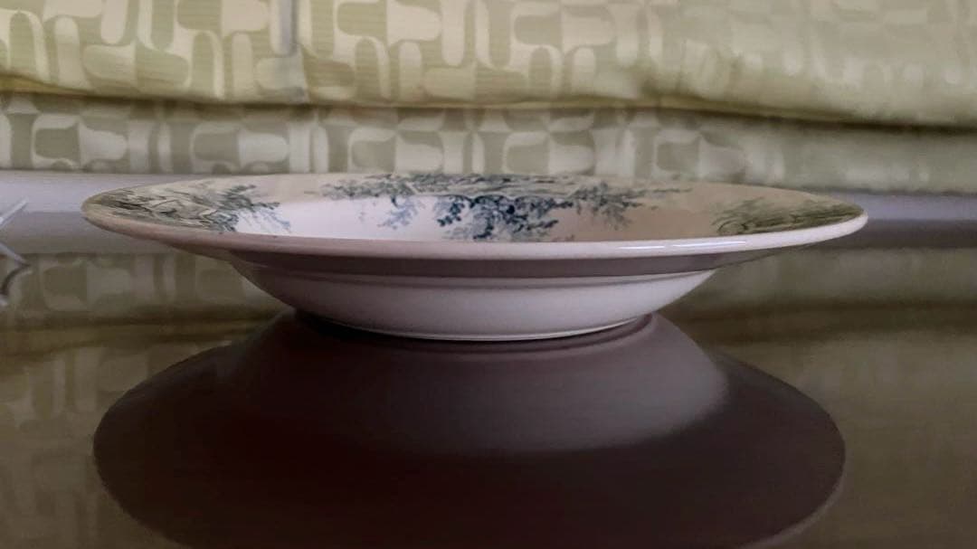 【専用】リュネヴィル フランス アンティーク プレート