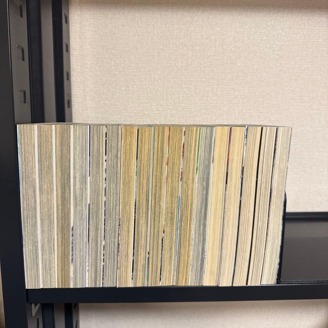 孤高の人 1-17巻 全巻セット 坂本真一 集英社 ヤングジャンプ