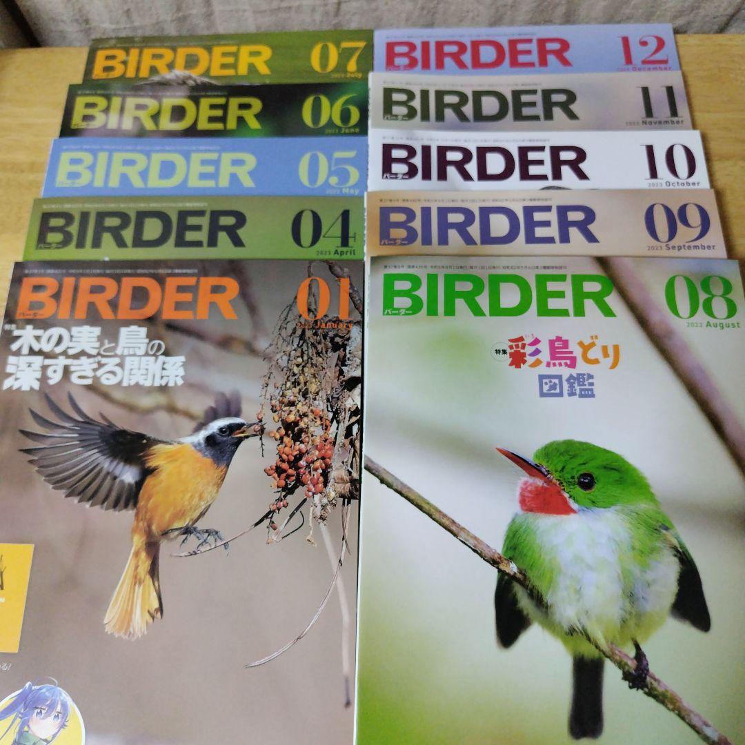 美品【BIRDER 】2023年