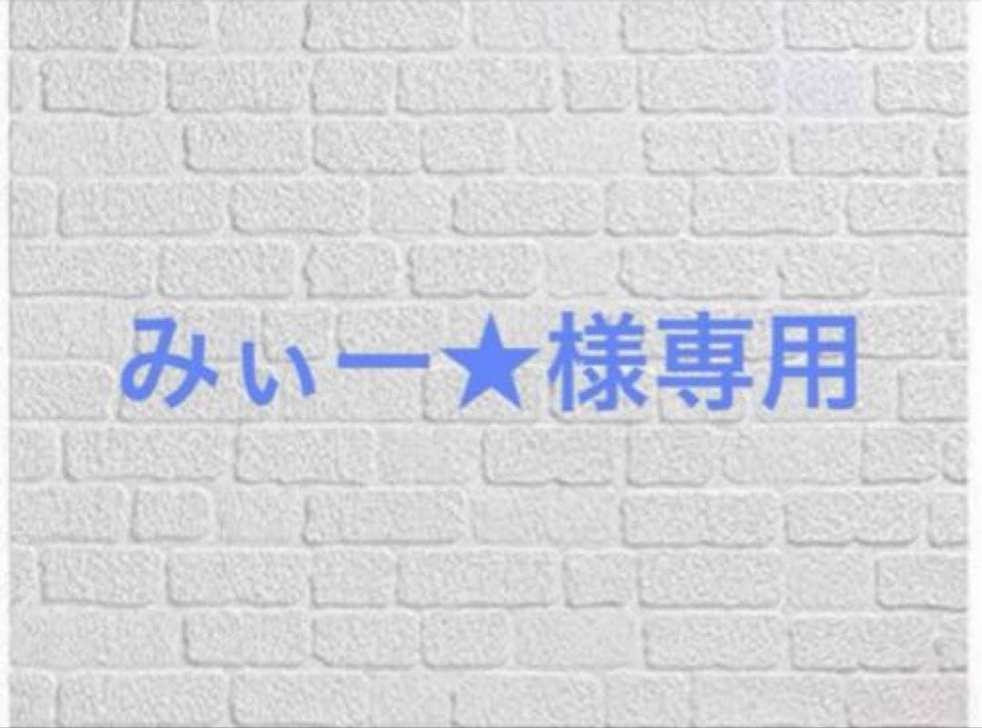 みぃー★ やり直し辺境伯夫人の幸福な誤算 他