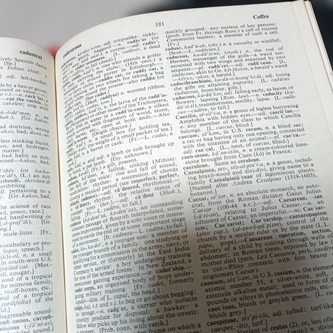 洋書 Chambers Twentieth Century Dictionary