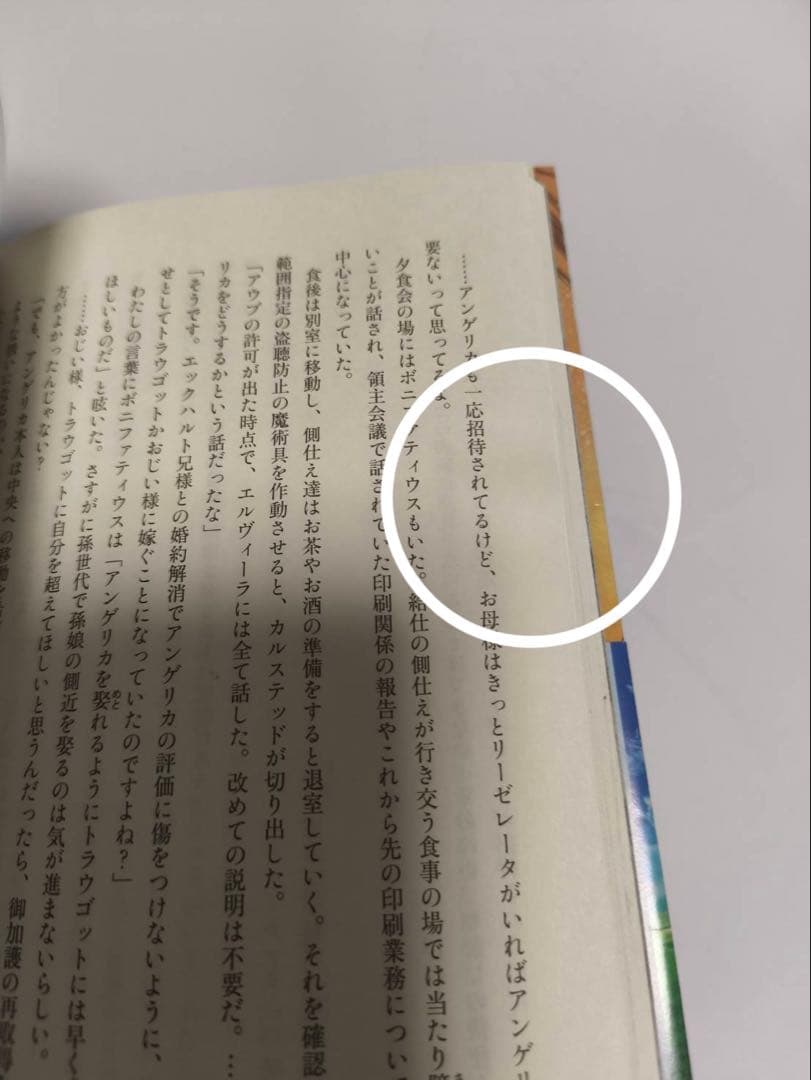 本好きの下剋上～司書になるためには手段を選んでいられません～第五部　全12巻