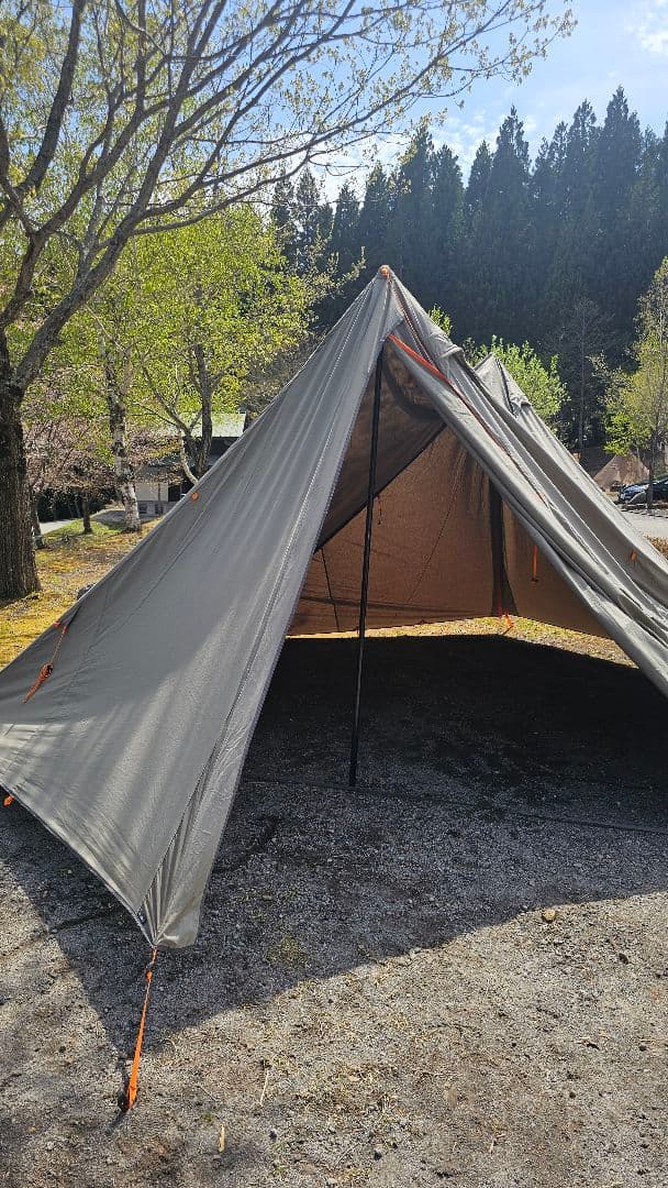 ニーモ　ヘキサライト　エレメント6P