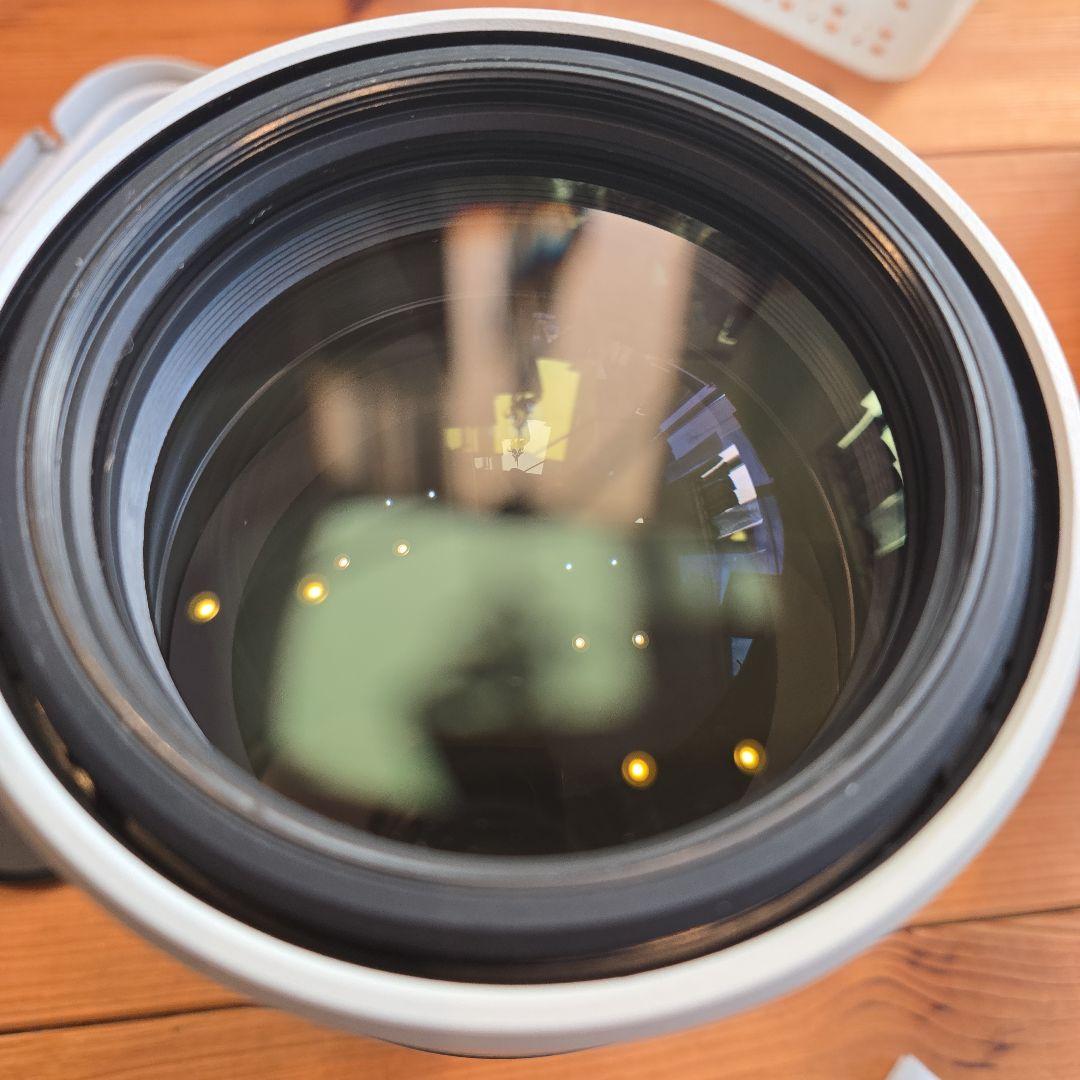 (美品) SONY ズームレンズ SEL200600G 円偏光サーキュラー付