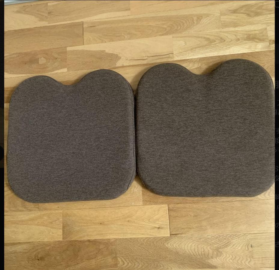 エクスジェル アウルカンフィ OWF10-BR 専用カバー付き 2個