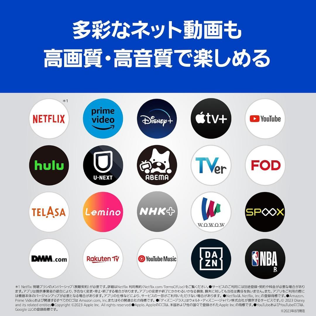 VIERA TH-42LZ1000 店頭展示品