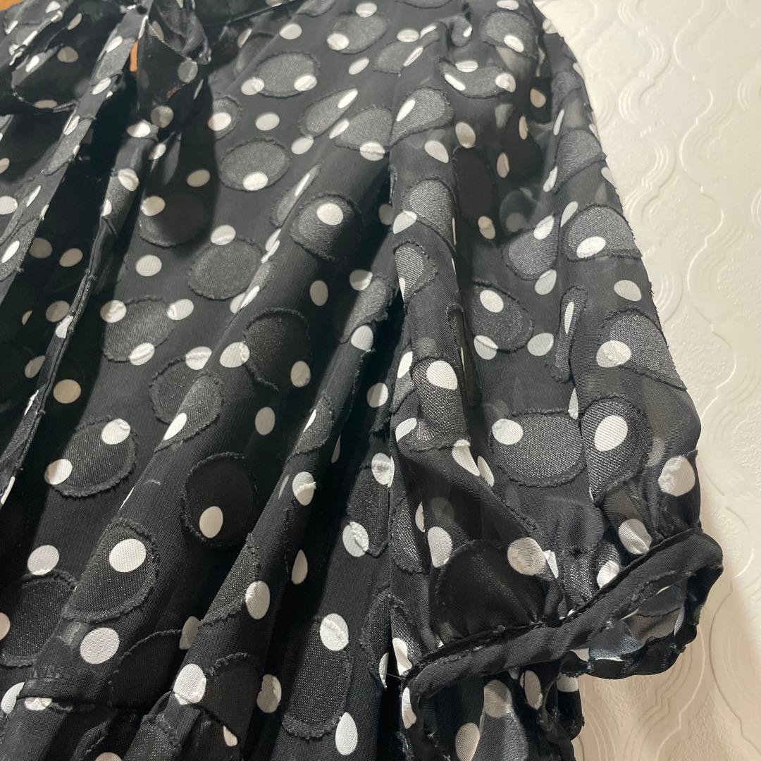 チュニックワンピース　⑥ ローズティアラ　46 水玉　ゆったり